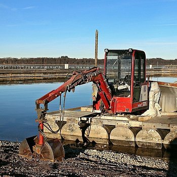 Bild von Manfred Antranias Zimmer (Pixabay)